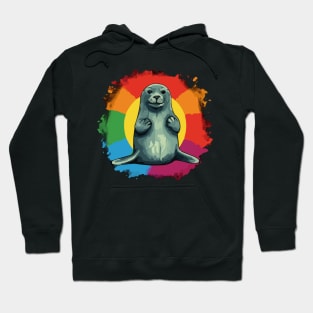 Seal Retro Vintage Sunset Rainbow Hoodie